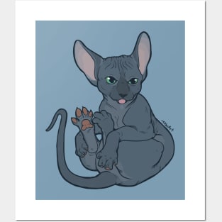 Sphynx Toes Posters and Art